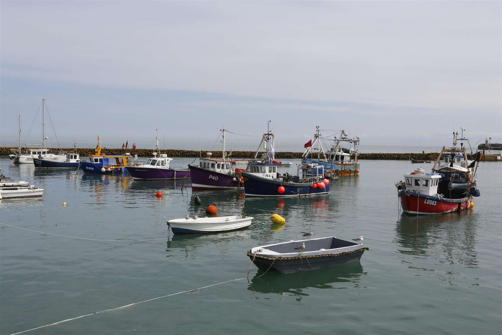 General view of Folkestone, its harbour area.