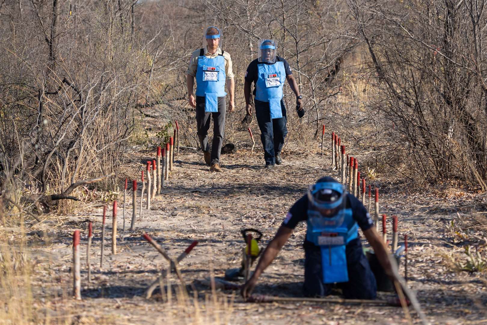 Harry saw the work of the Halo Trust for himself when last year he met staff clearing a minefield in Dirico, Angola (Dominic Lipinski/PA)