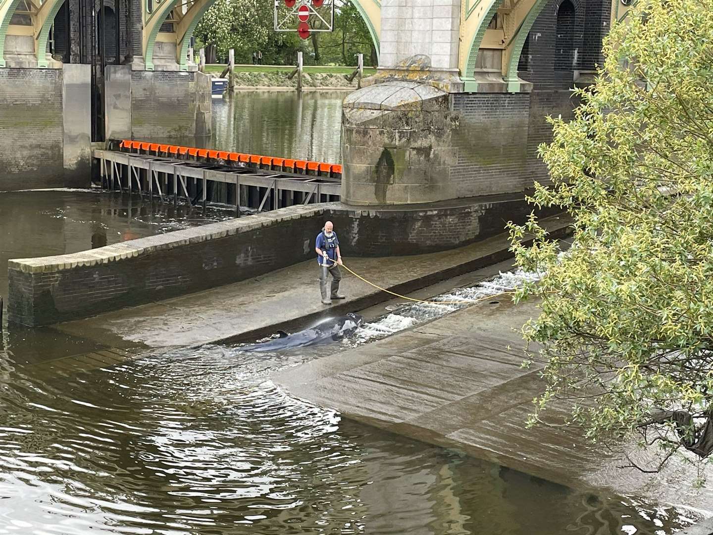 A man has been seen hosing down the whale (Jake Manketo/PA)