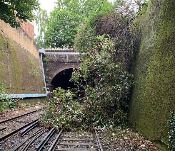 A tree had to be cleared from the line at Greenwich, which was affecting Dartford commuters. Picture: Southeastern