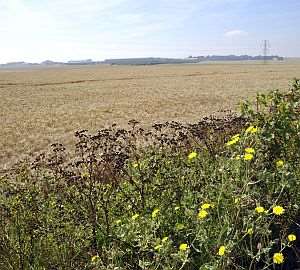Campaigners fear development will pollute land