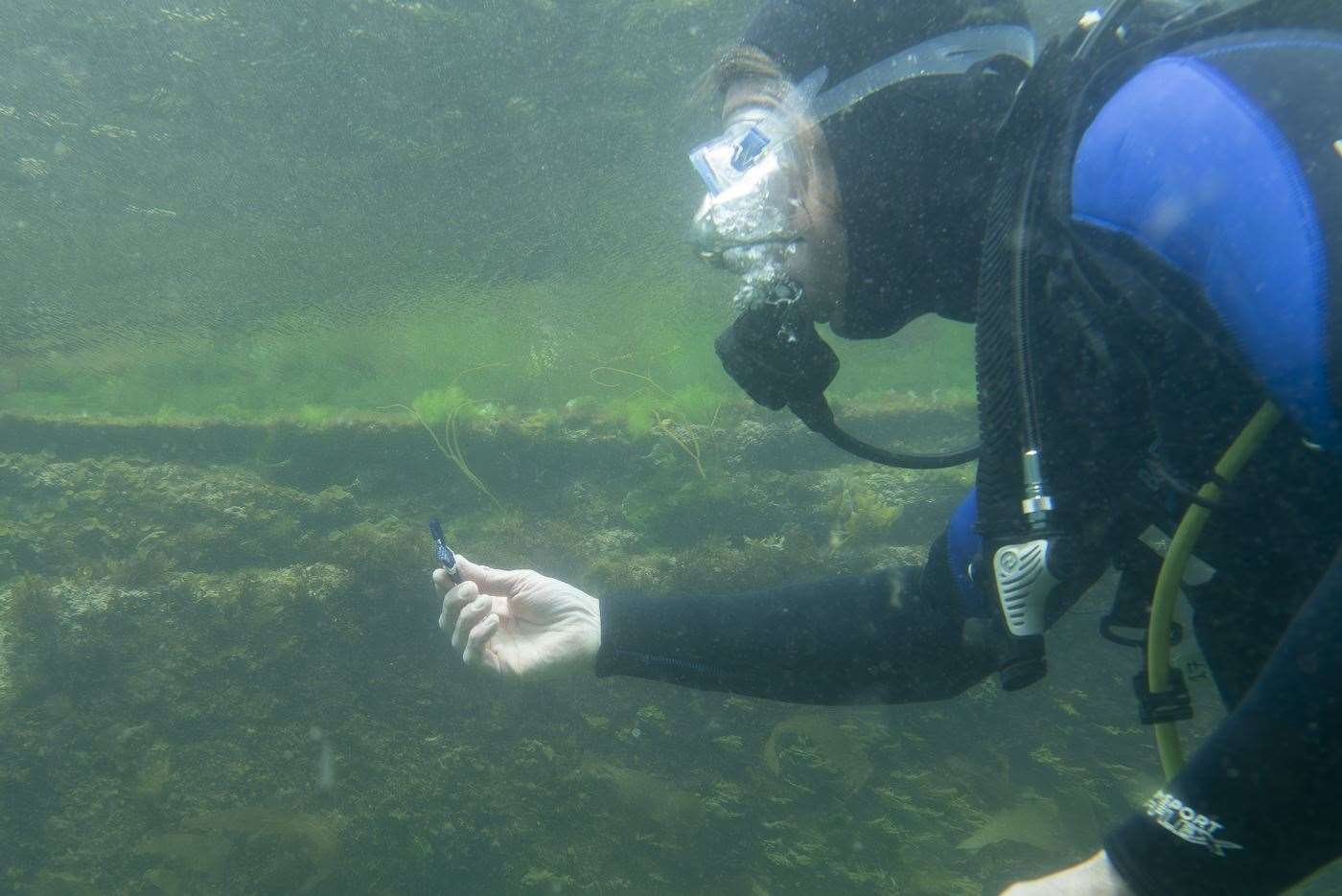 A diver removing a vape from the Cornish seabed (Hidden Sea/Zero Co/pa)