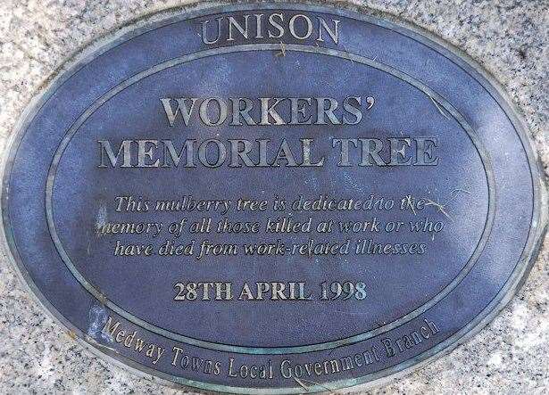 The plaque remains at the foot of the axed tree