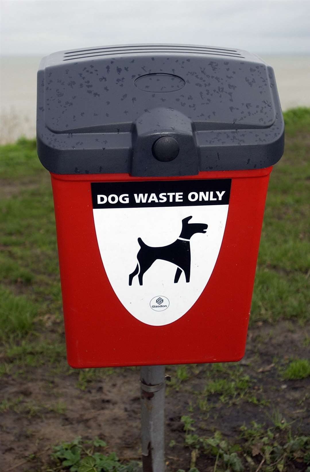 Yobs placed dog mess in a post box instead of a designated dog waste bin