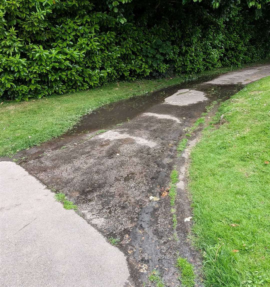 The sewage spilt onto the footpath and grass. Picture: Mark Deakin