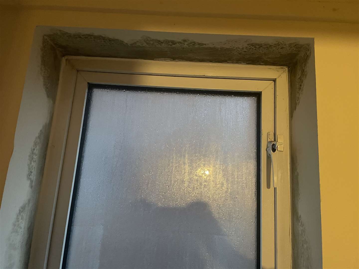Mould around a window in June and Debrah's House. Picture: Laura Roebuck