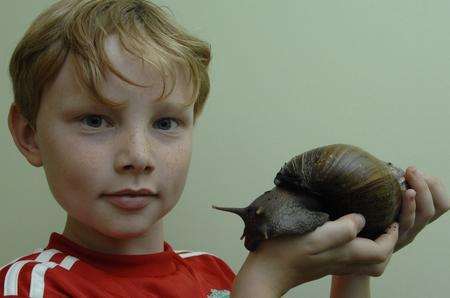 Joseph Billington with his slimy pal Homer - the world's largest snail