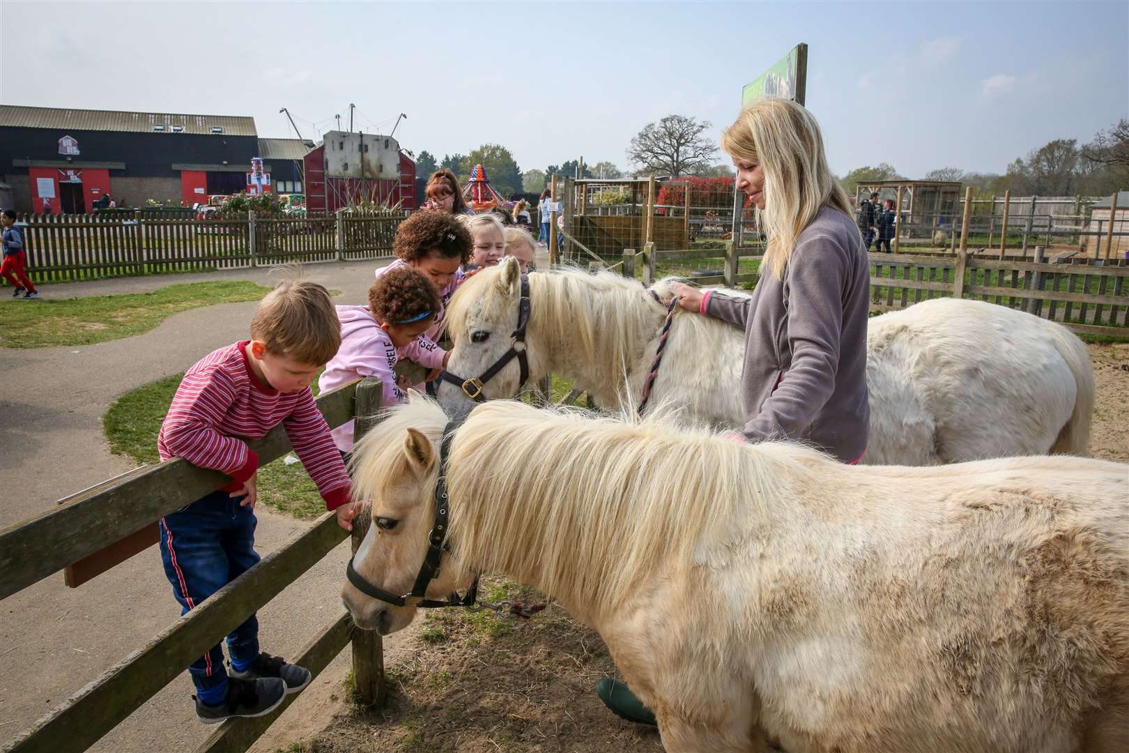 Meet the farmyard animals and join in with family-friendly activities. Picture: Matthew Walker