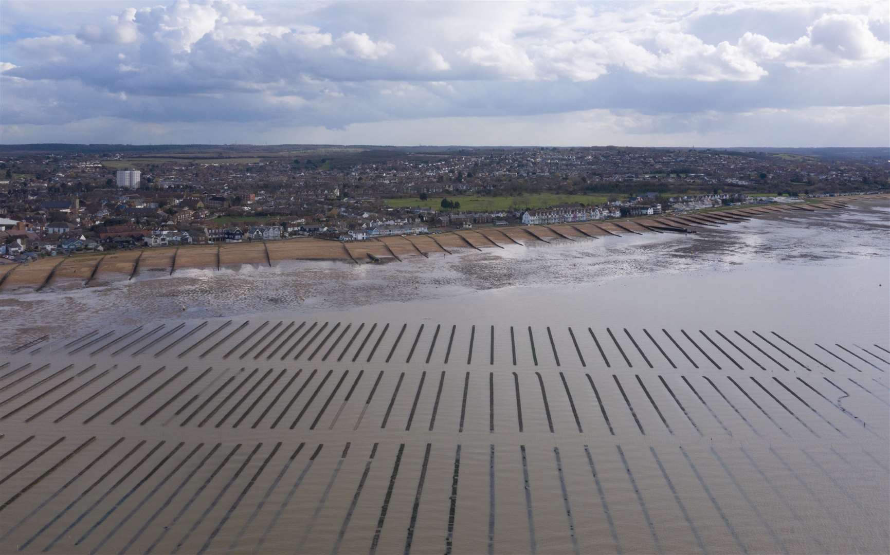 The oyster farm at Whitstable beach. Picture: Whitstable Oyster Company