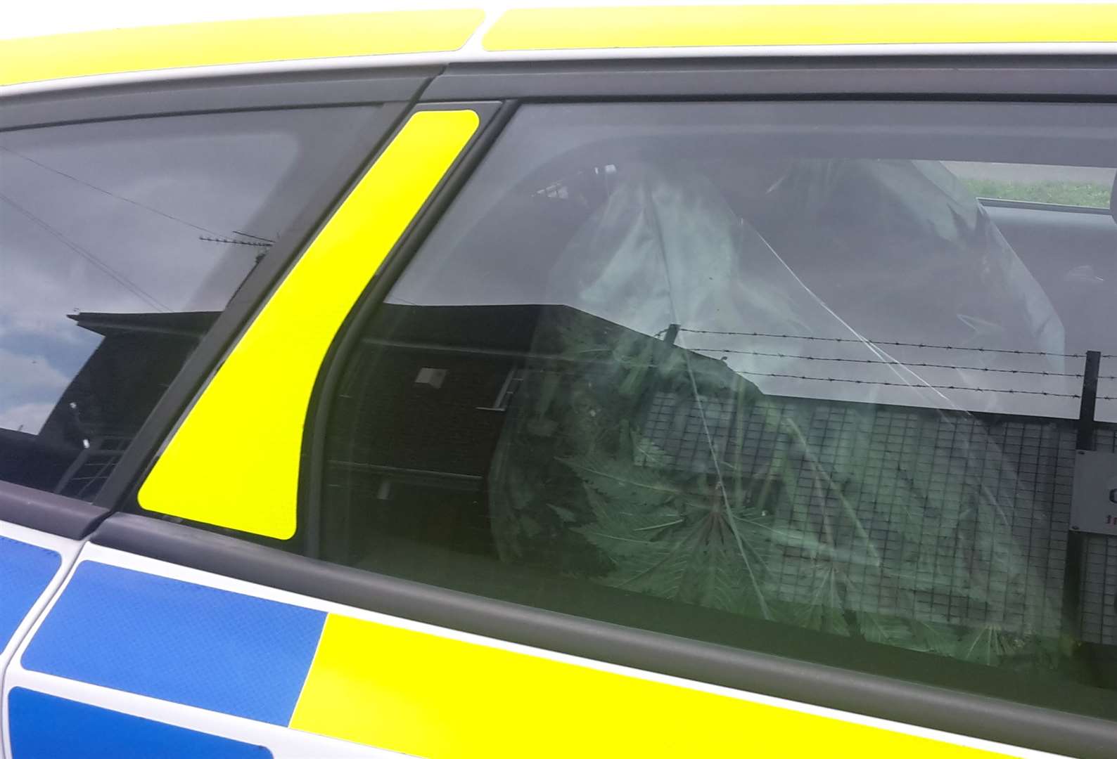 Police have filled at least 10 police cars with cannabis plants after raiding a house in New Road, Sheerness