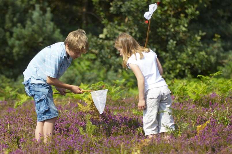 Acorn Activities Bug Walk