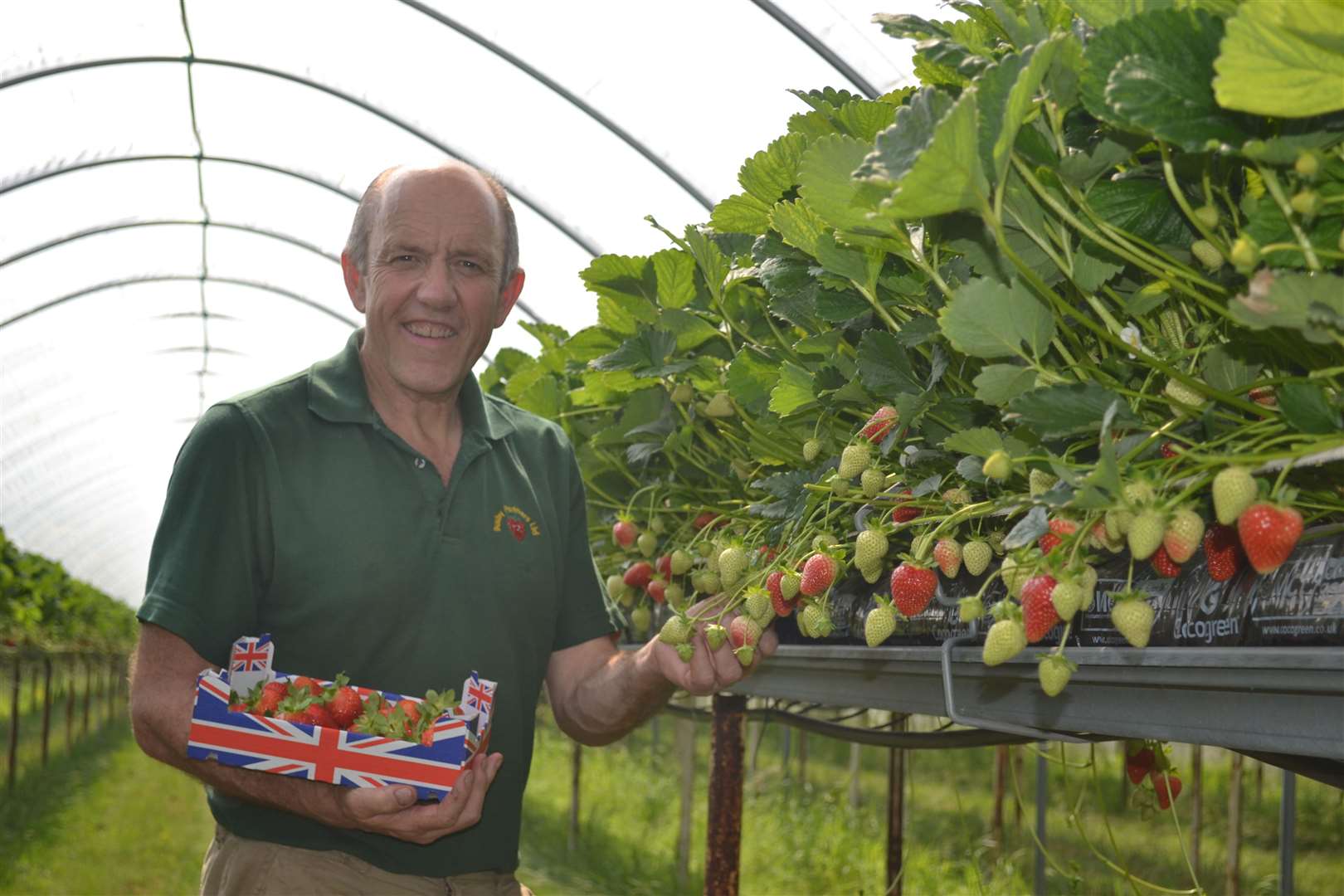 Strawberry grower Phillip Busby, of Busby Partners, at the producer’s farm in Chilcote, Leicestershire (Tesco/PA)