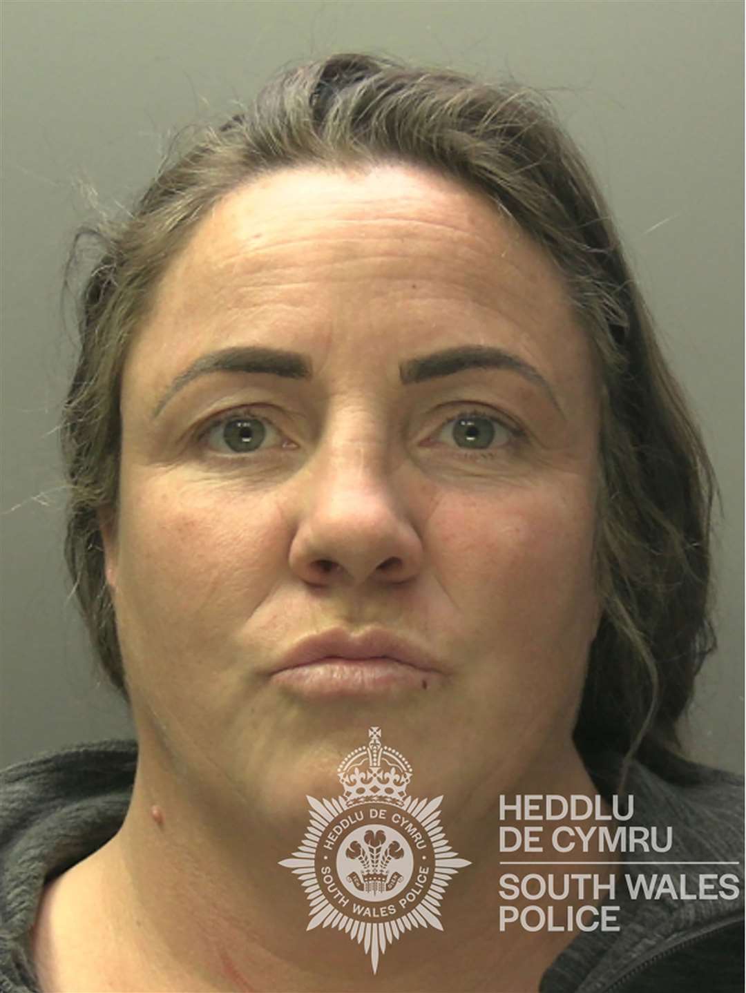 Ann McDonagh, of Sandfields, Port Talbot, has been sentenced to 12 months in prison (South Wales Police/PA)