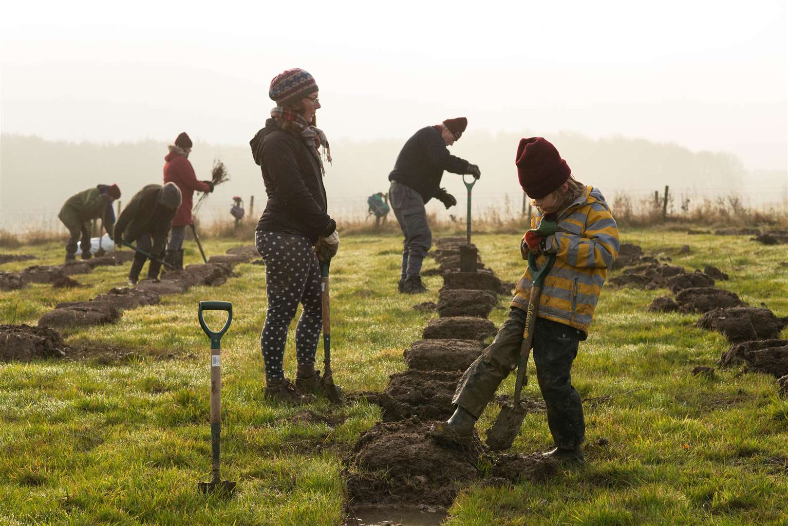 The UK urgently needs a skilled workforce for reforestation programmes, Friends of the Earth said (Philip Formby/PA)