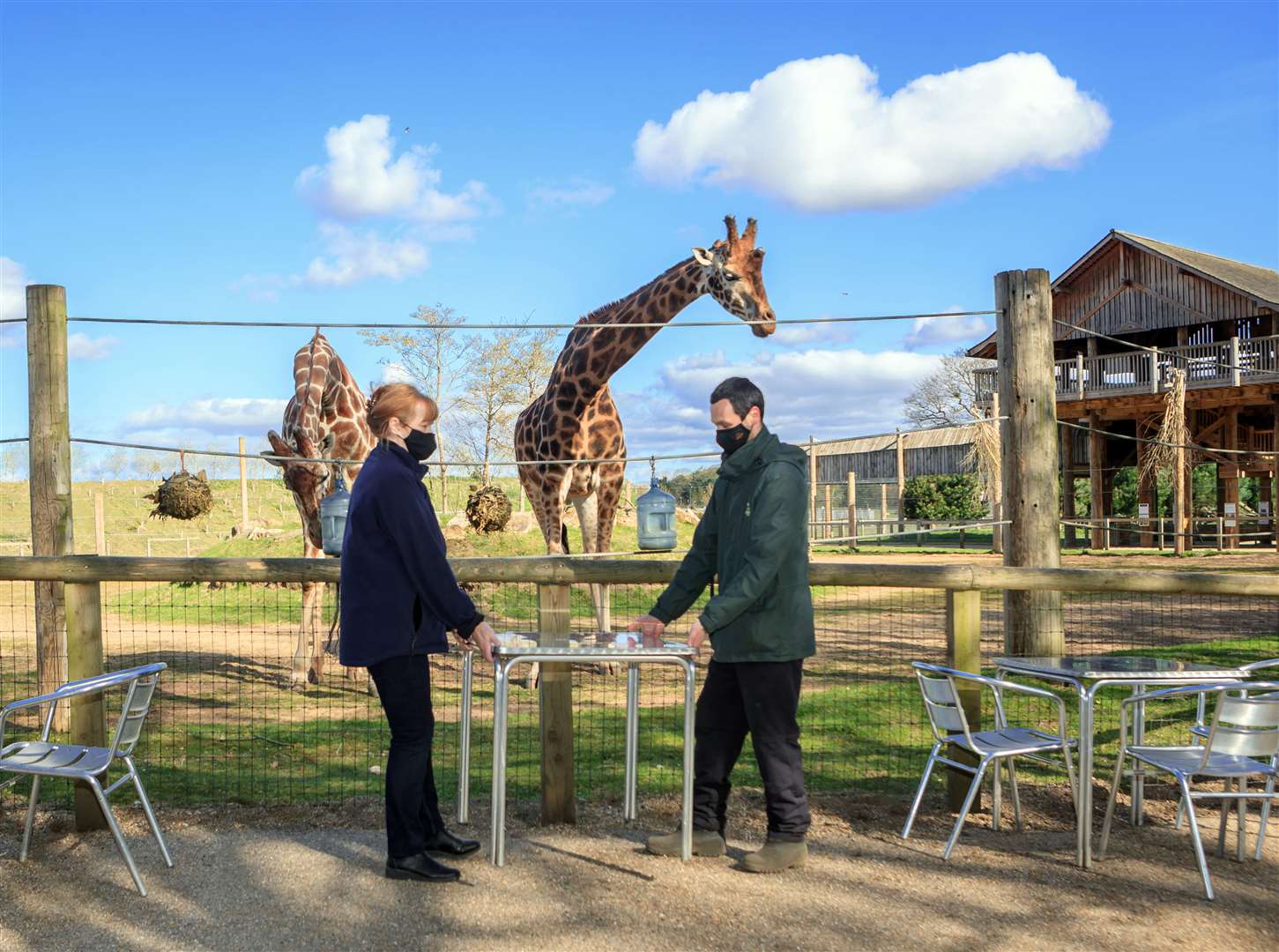 Paula Wigglesworth and Andy Watson put tables and chairs out in an outdoor cafe area near the giraffe enclosure at Yorkshire Wildlife Park (Danny Lawson/PA)