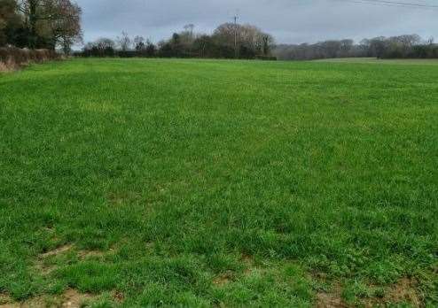 The proposed site in Blandred Farm, Acrise, near Folkestone. Picture: Kim Gower