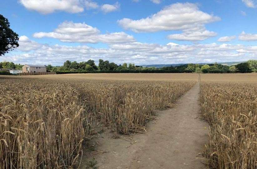 The Forty Acres field in East Malling