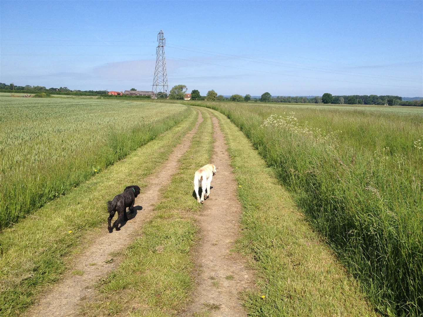 The land as it is today. Picture: Save Capel