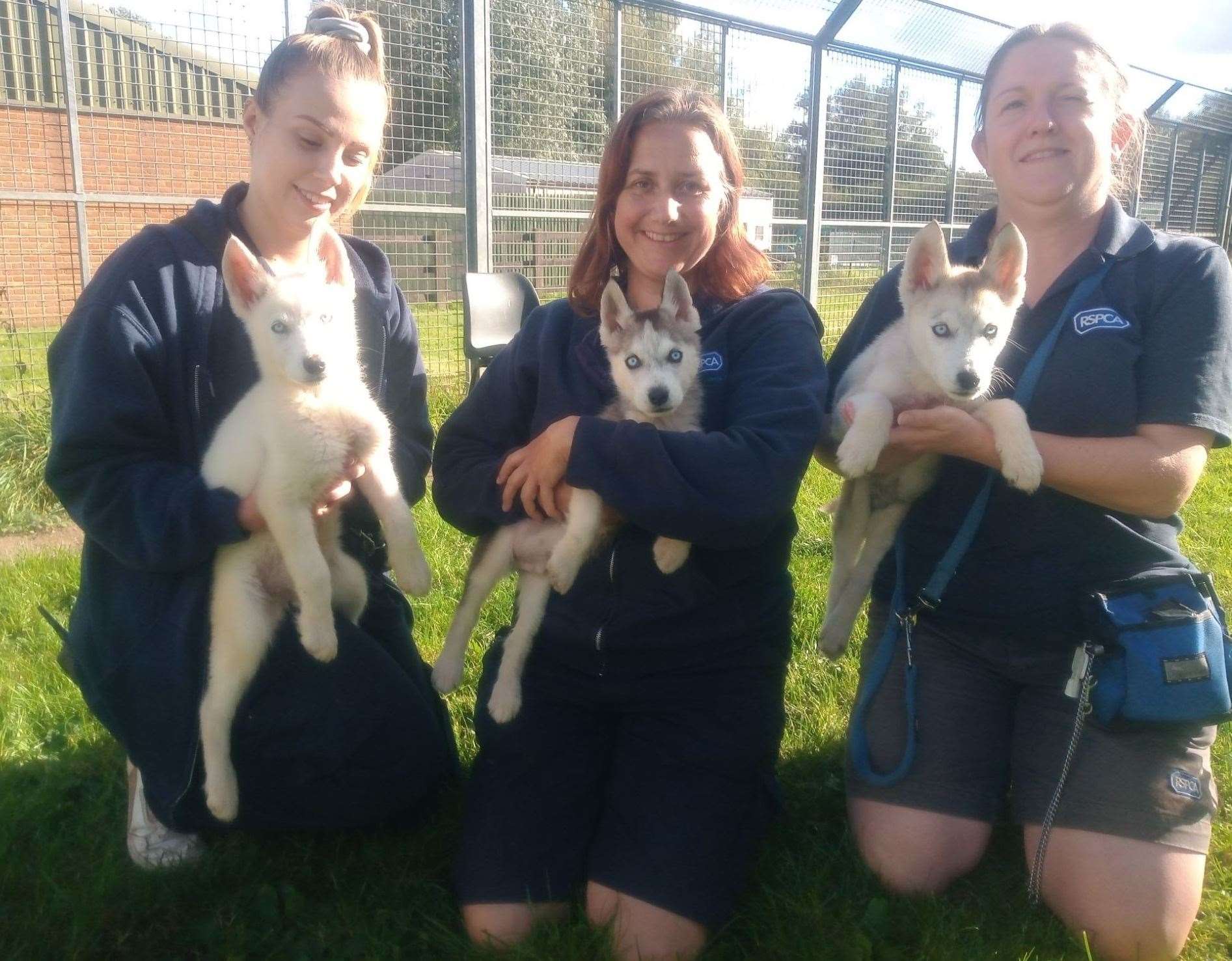 The puppies are now being looked after by staff at the RSPCA