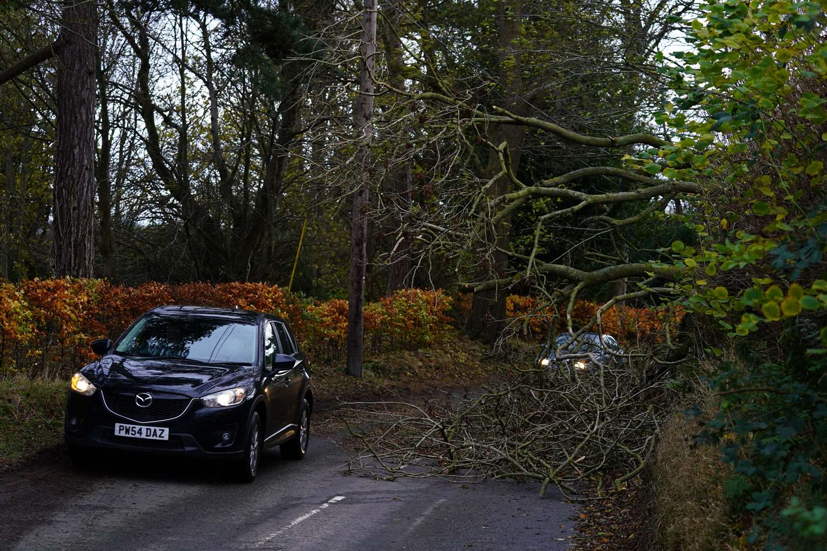 A car edges around a fallen tree on the B4378 near Brockton in Shropshire (Nick Potts/PA)