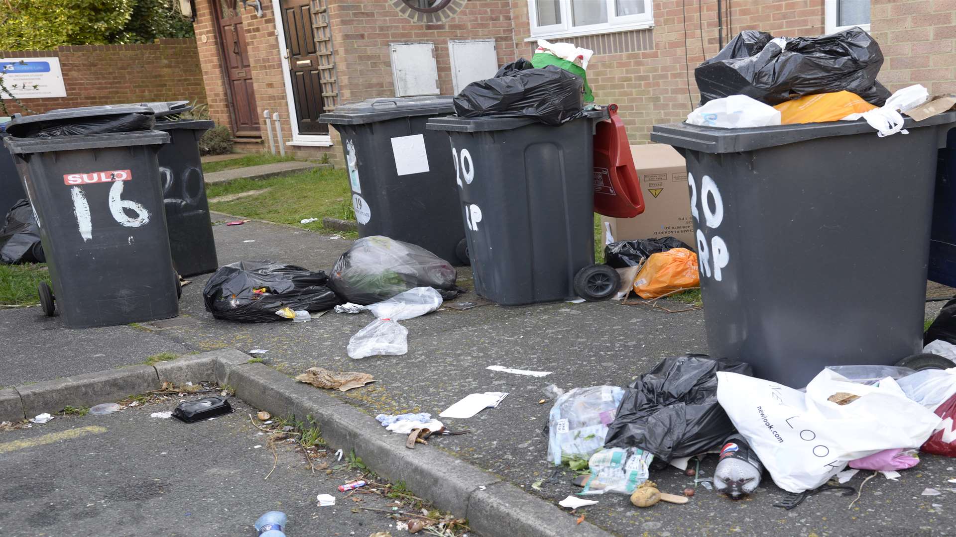 Overflowing bins are a health hazard. Picture: Chris Davey