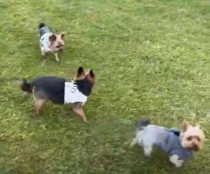 Left to right: Poppy, mum Bella and sister Molly at Cobtree Manor Golf Course. Picture: Lacey family