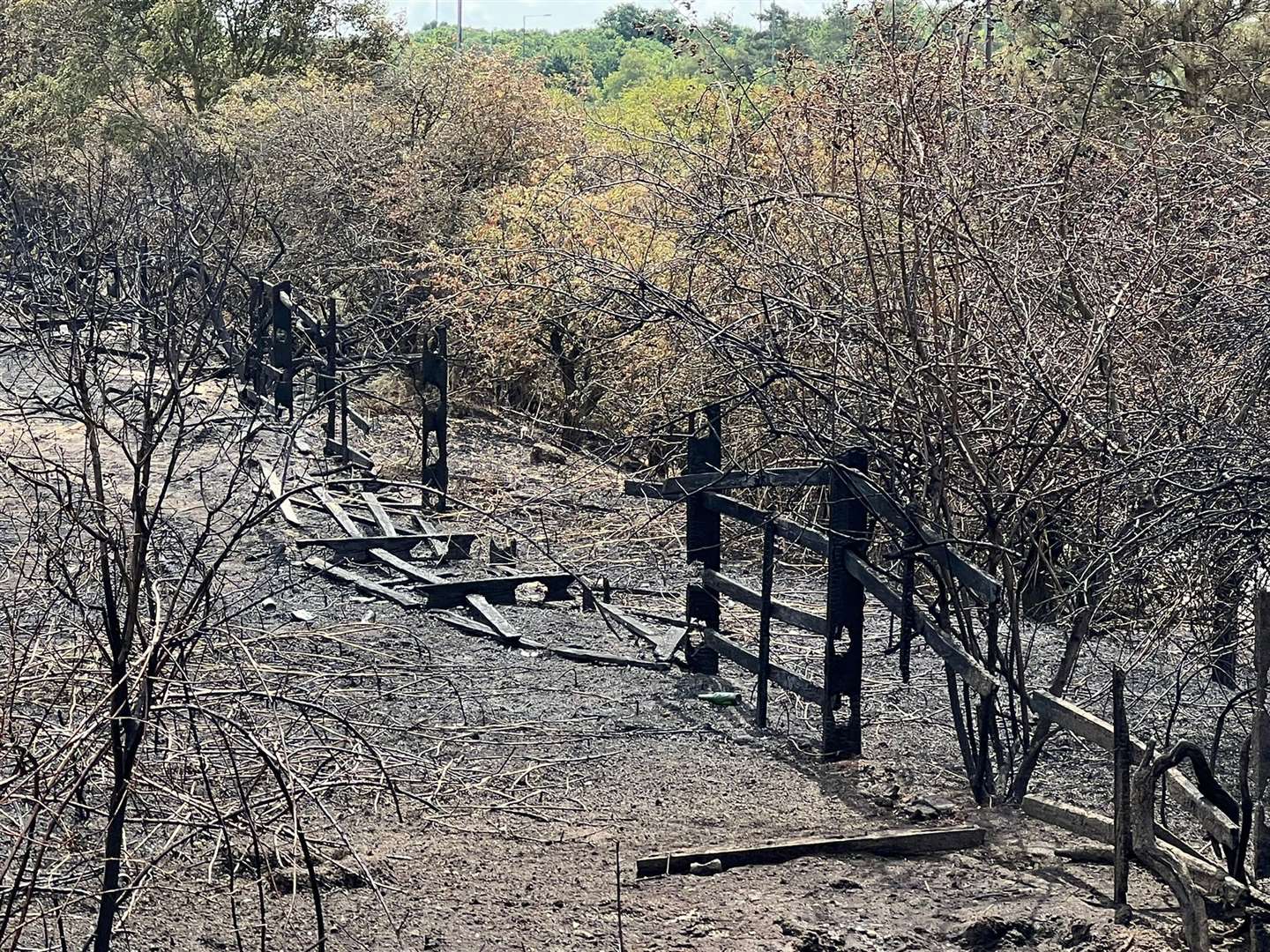 Wildfires have broken out across England during the heatwave devastating land, property and crops