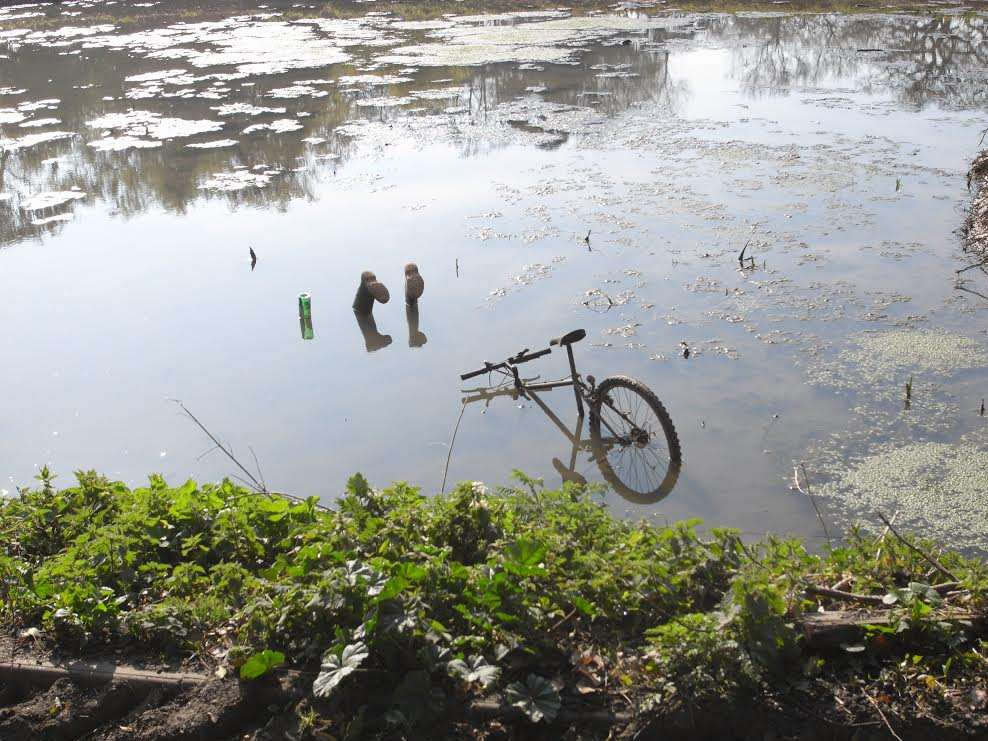 Emergency crews were called to the Elmstone village pond