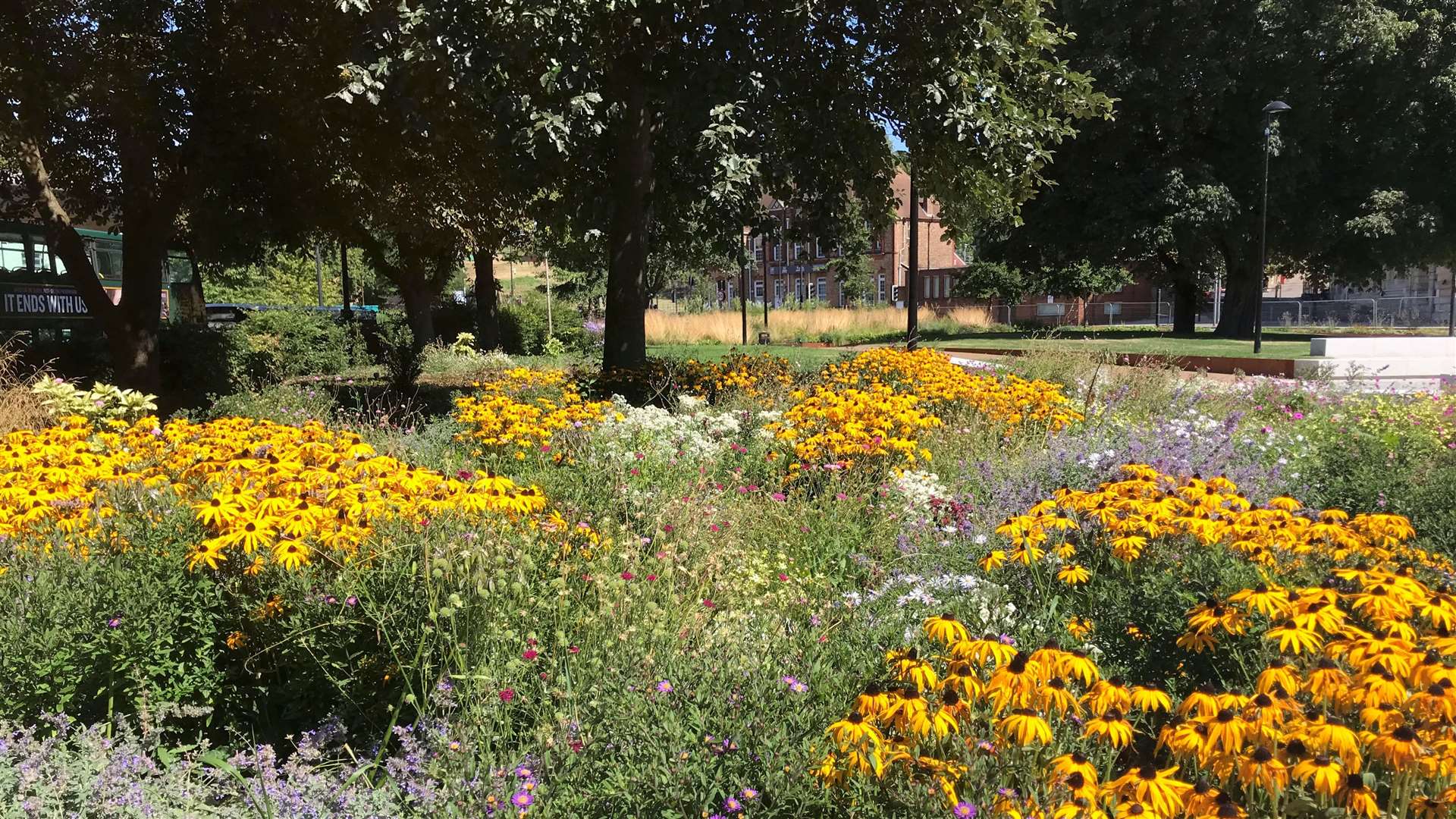 Many new flowerbeds have been added