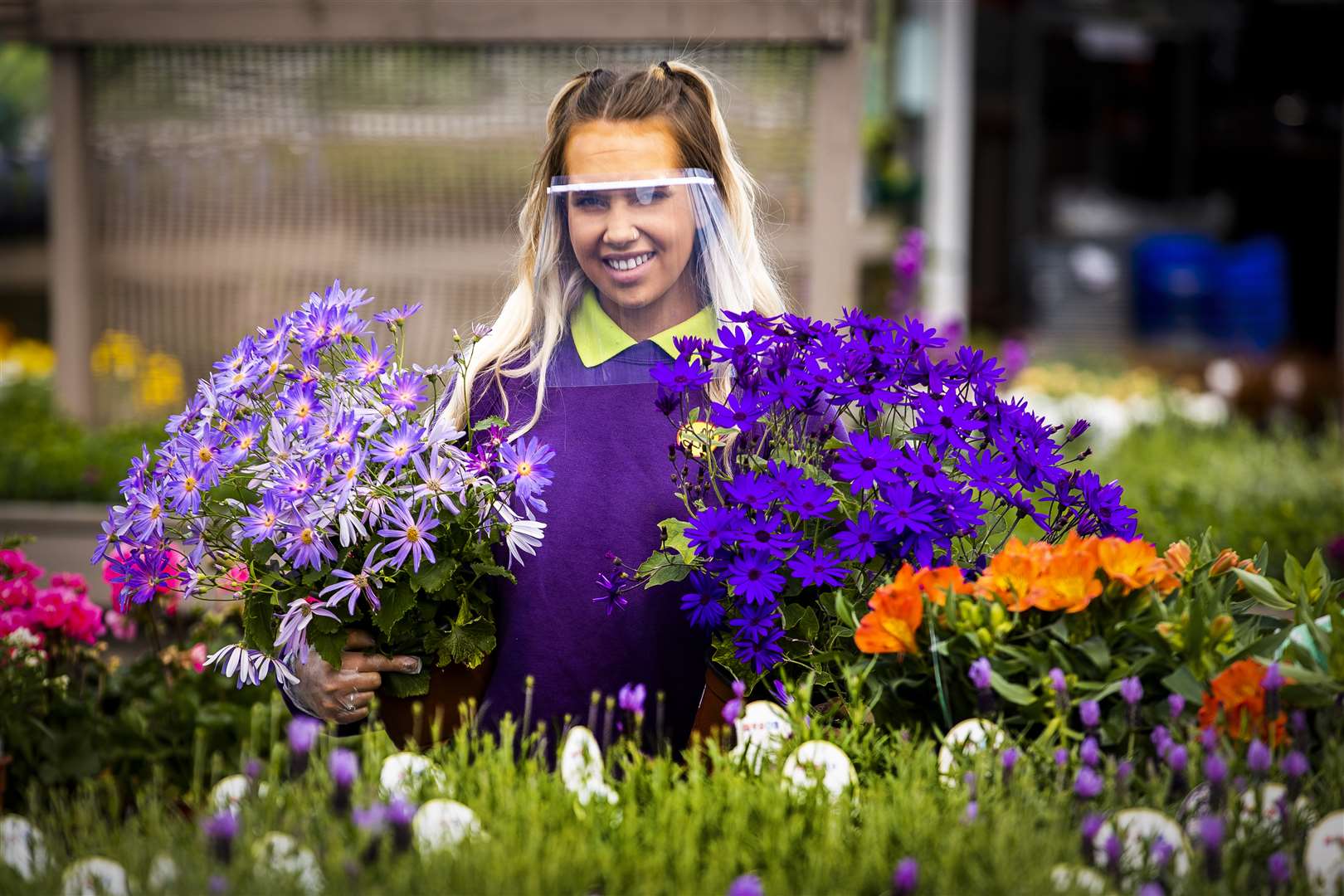 Shop assistant Naomi Ferguson holding two potted plants at Hillmount Garden Centre on the outskirts of Belfast amid preparations for potential reopening (Liam McBurney/PA)