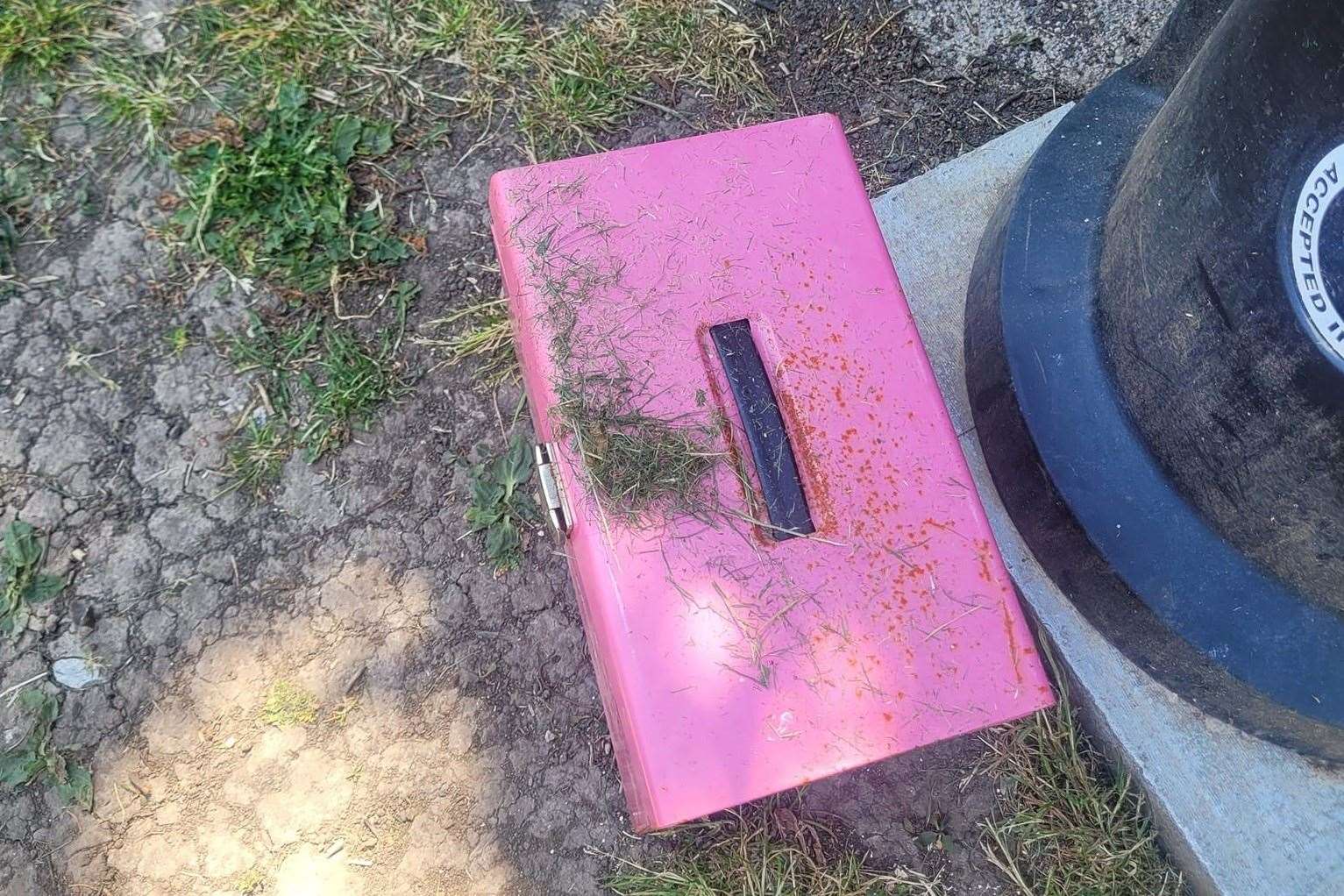 A Cats Protection volunteer believes a rabbit was placed in this pink after it had died