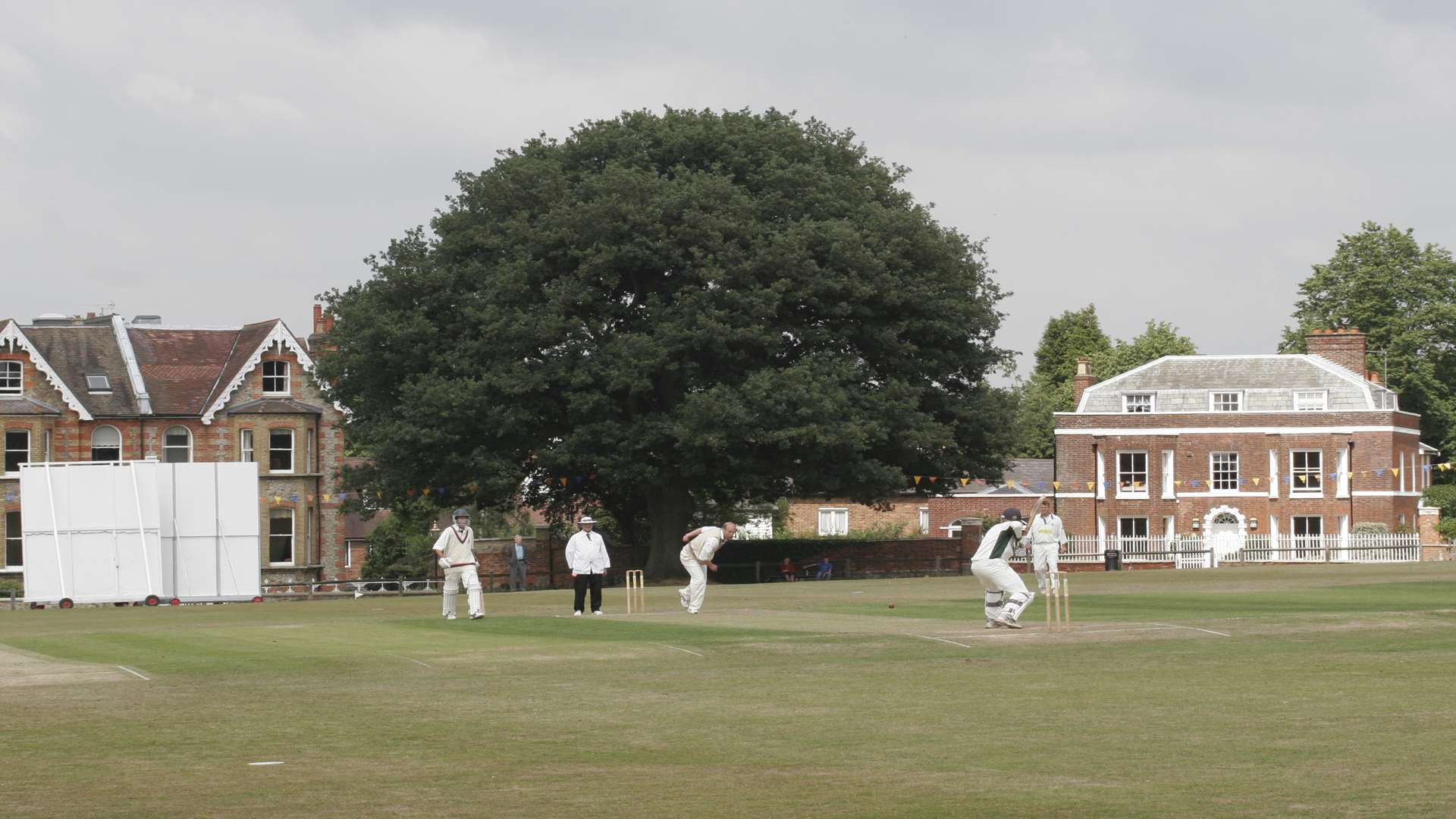 Cricket at The Vine