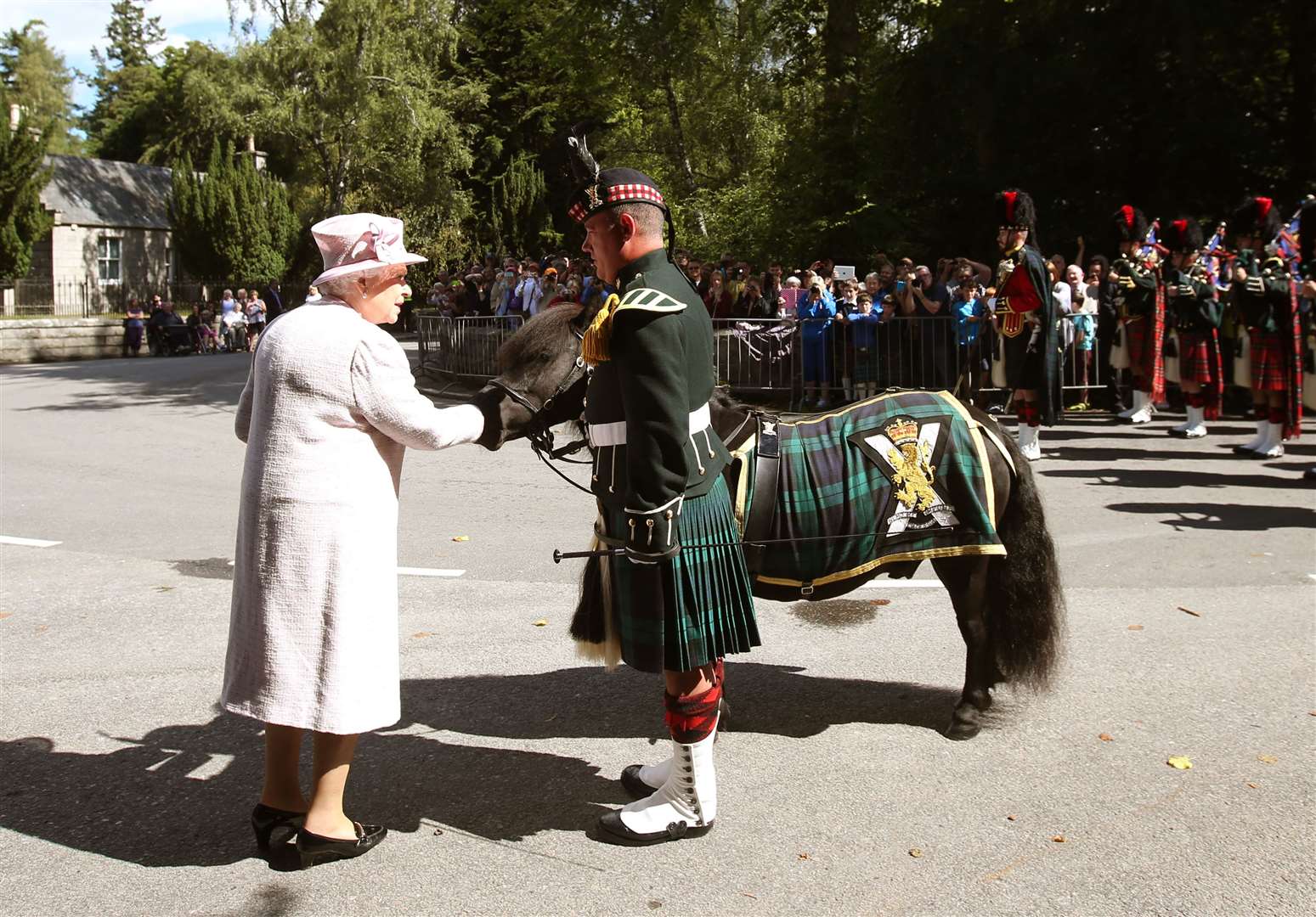 Corporal Cruachan IV met the late Queen at Balmoral in 2014 (PA)