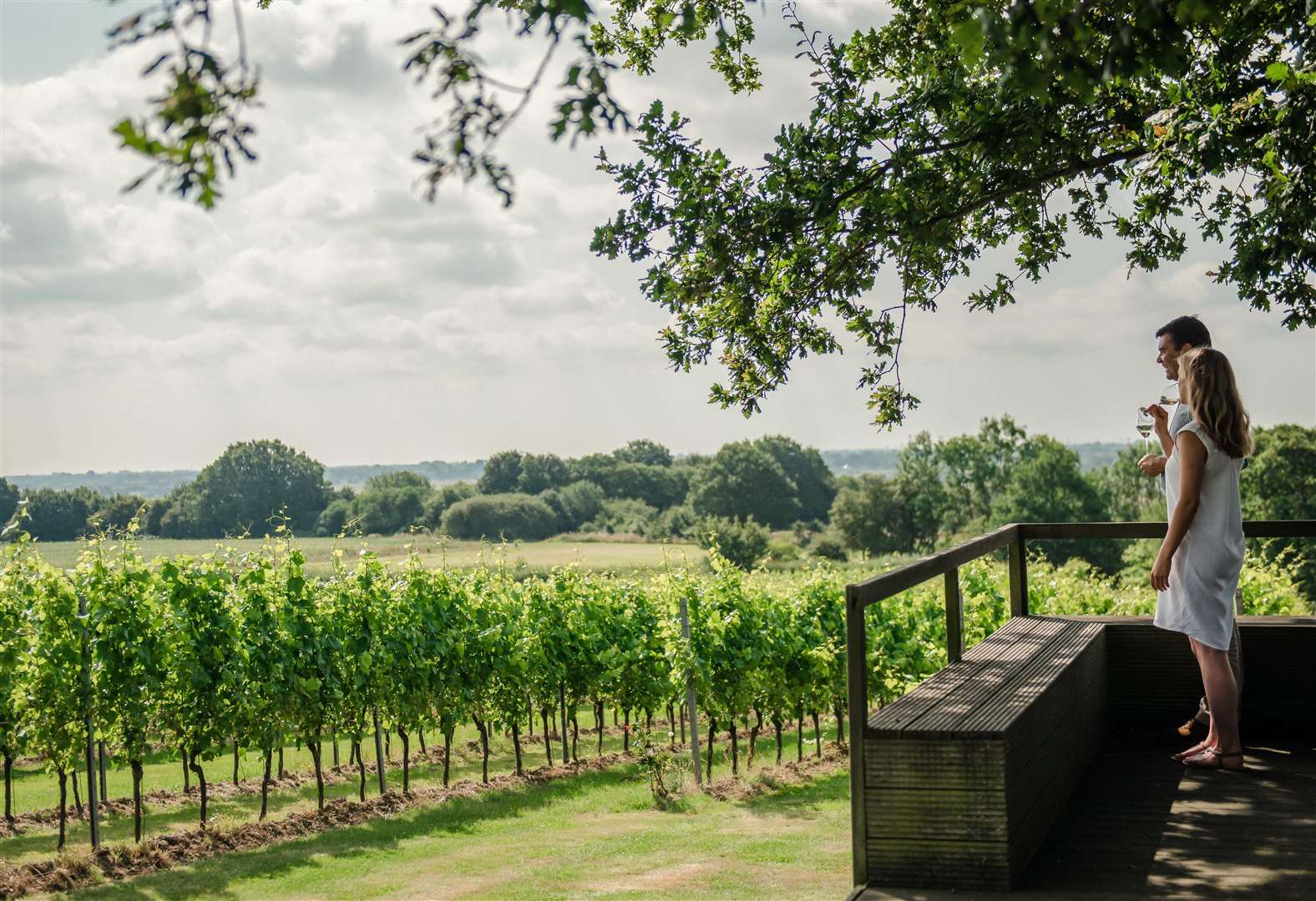 Gusbourne vineyard in Appledore. Picture: Visit Kent