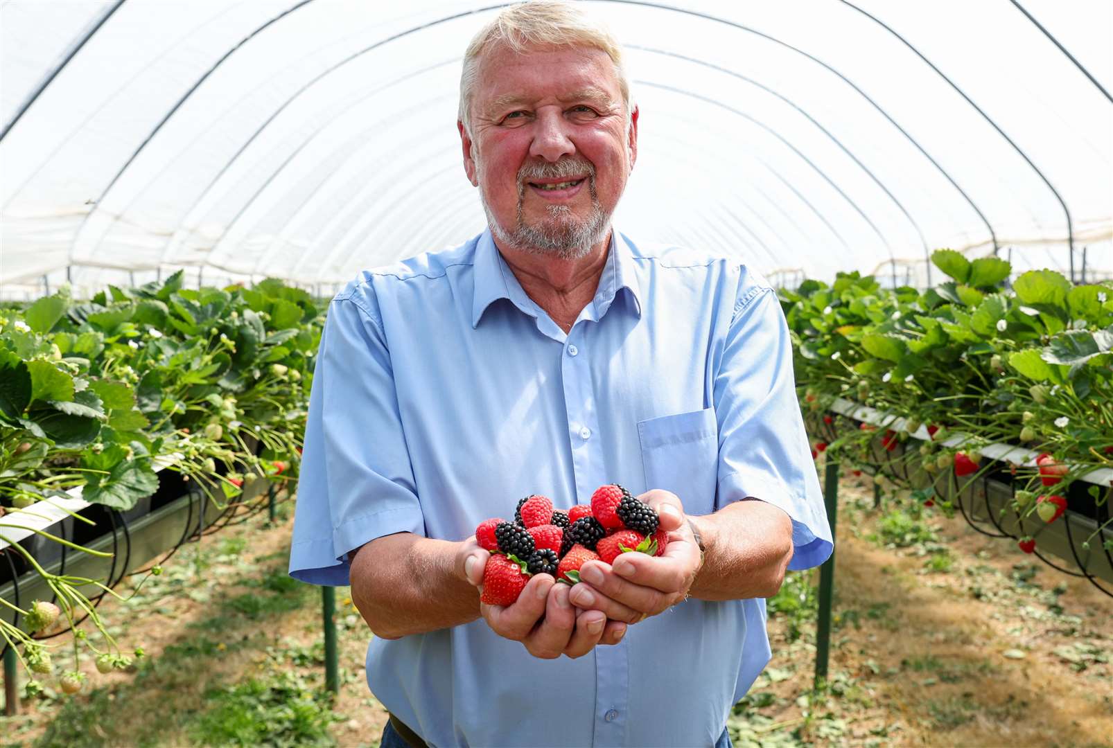 Nick Marston, chairman of British Berry Growers, at Hugh Lowe Farms in Mereworth. Picture: Kieran Cleeves/PA Media Assignments