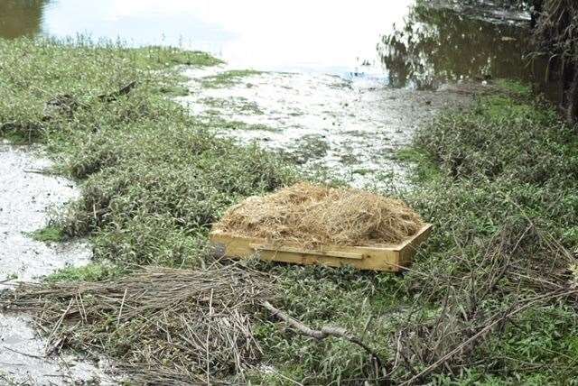 Floating nest installed on the river. Picture: Adele Stearns
