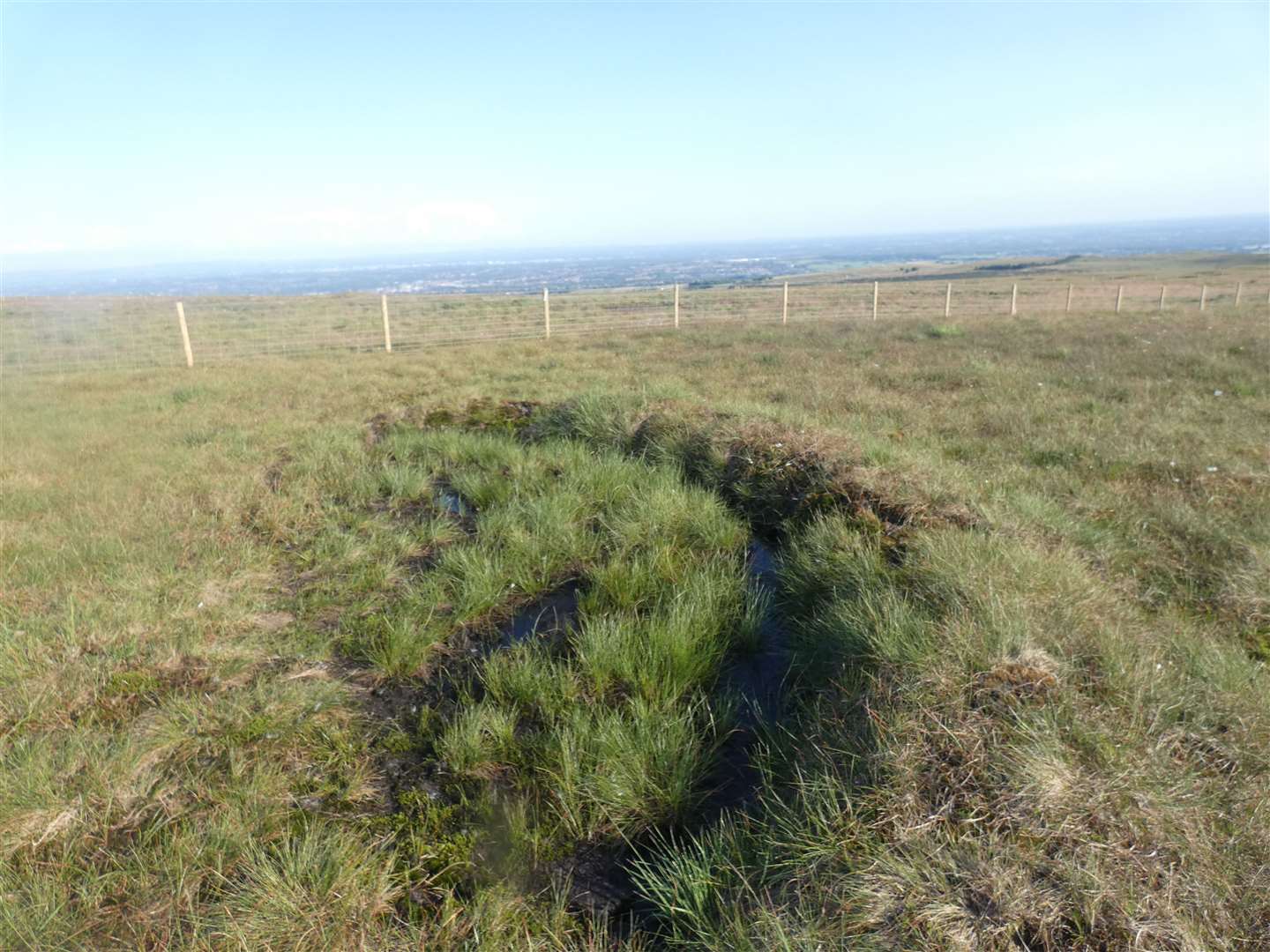 The landscape at Smithills is being rewetted to protect it (Richard Cooke/Woodland Trust/PA)