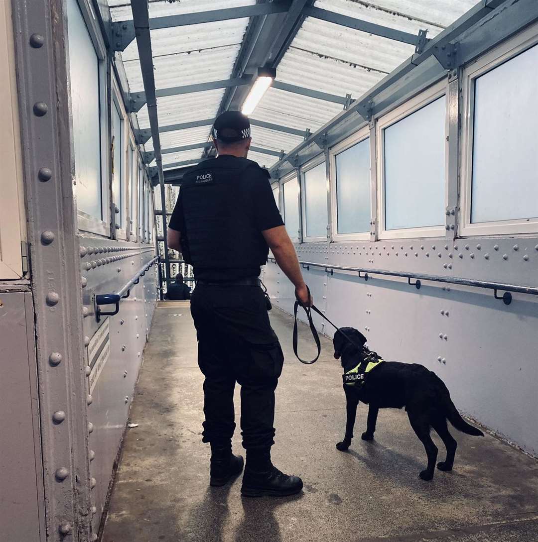 A policeman with a sniffer dog. Pic Kent Police