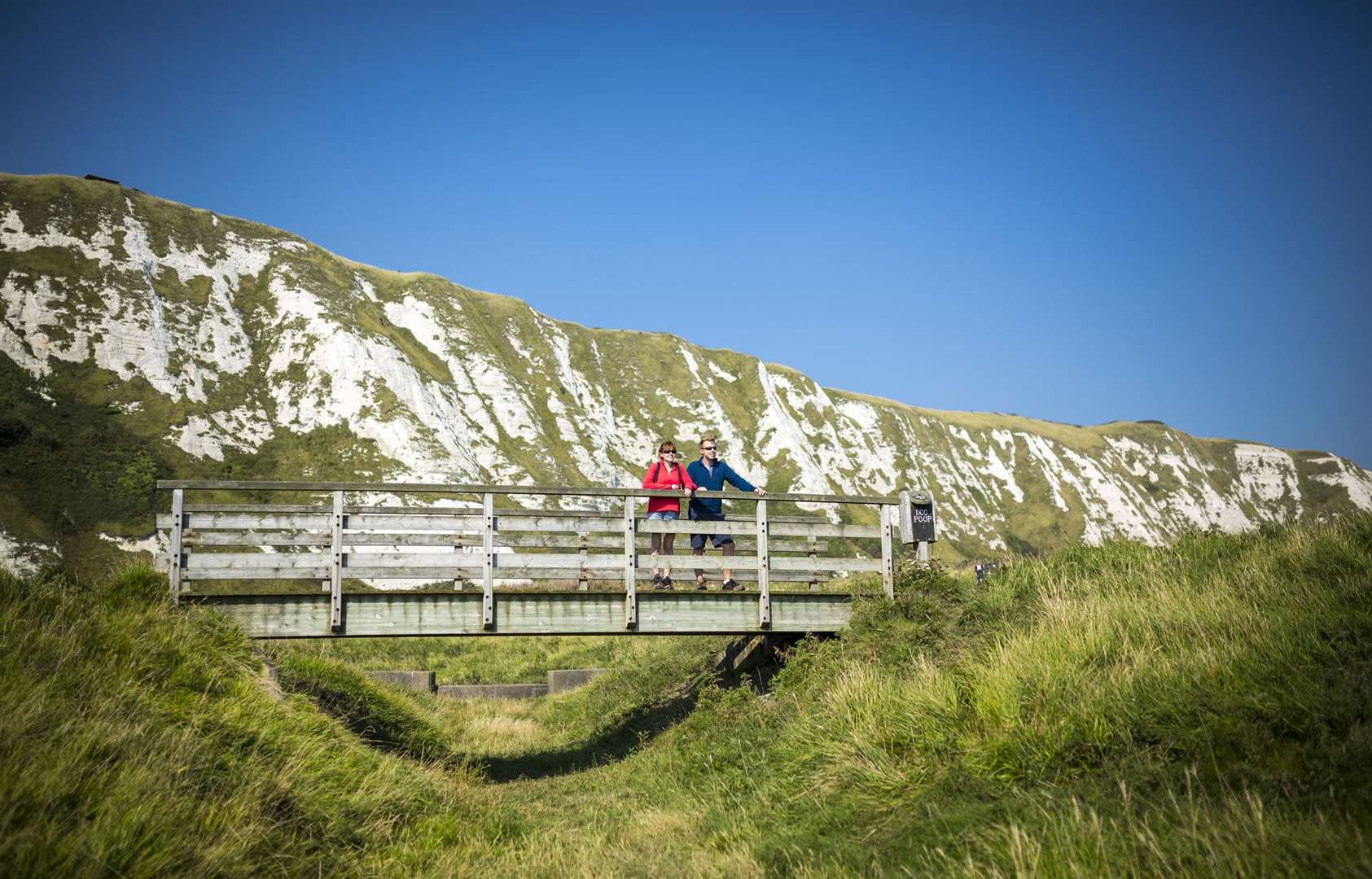 From Samphire Hoe visitors can look out across the Channel to France (13971533)