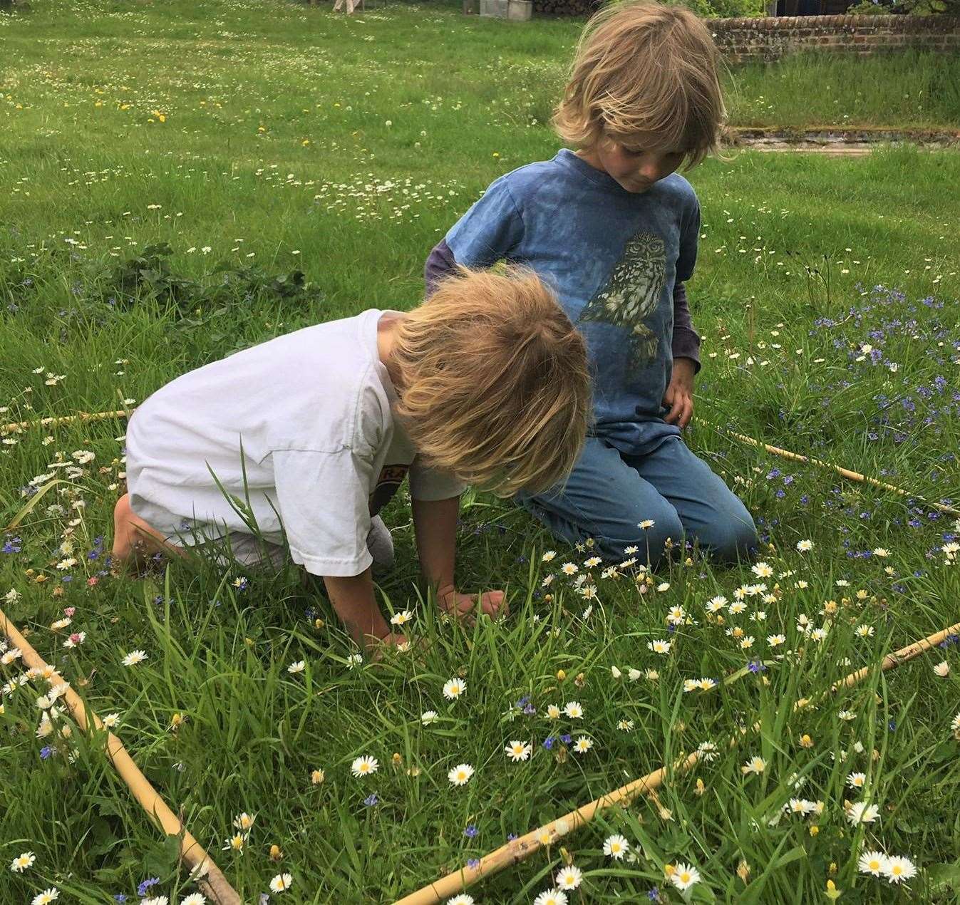 Two boys counting daisies in a quadrat for ‘every flower counts’ survey (Archie Thomas/Plantlife/PA)