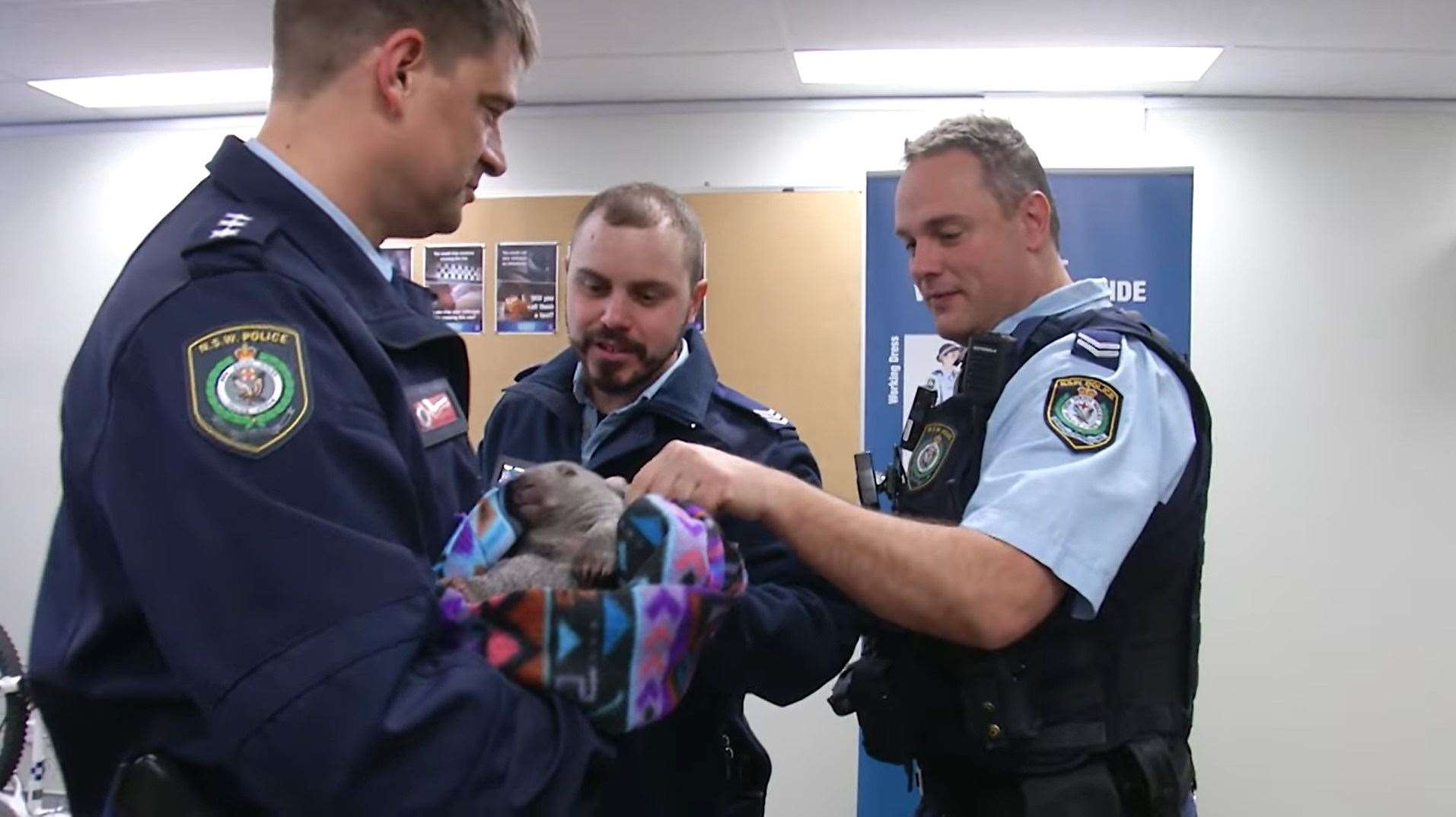 Ted is said to be fitting in well at the station (NSW Police Force/PA)