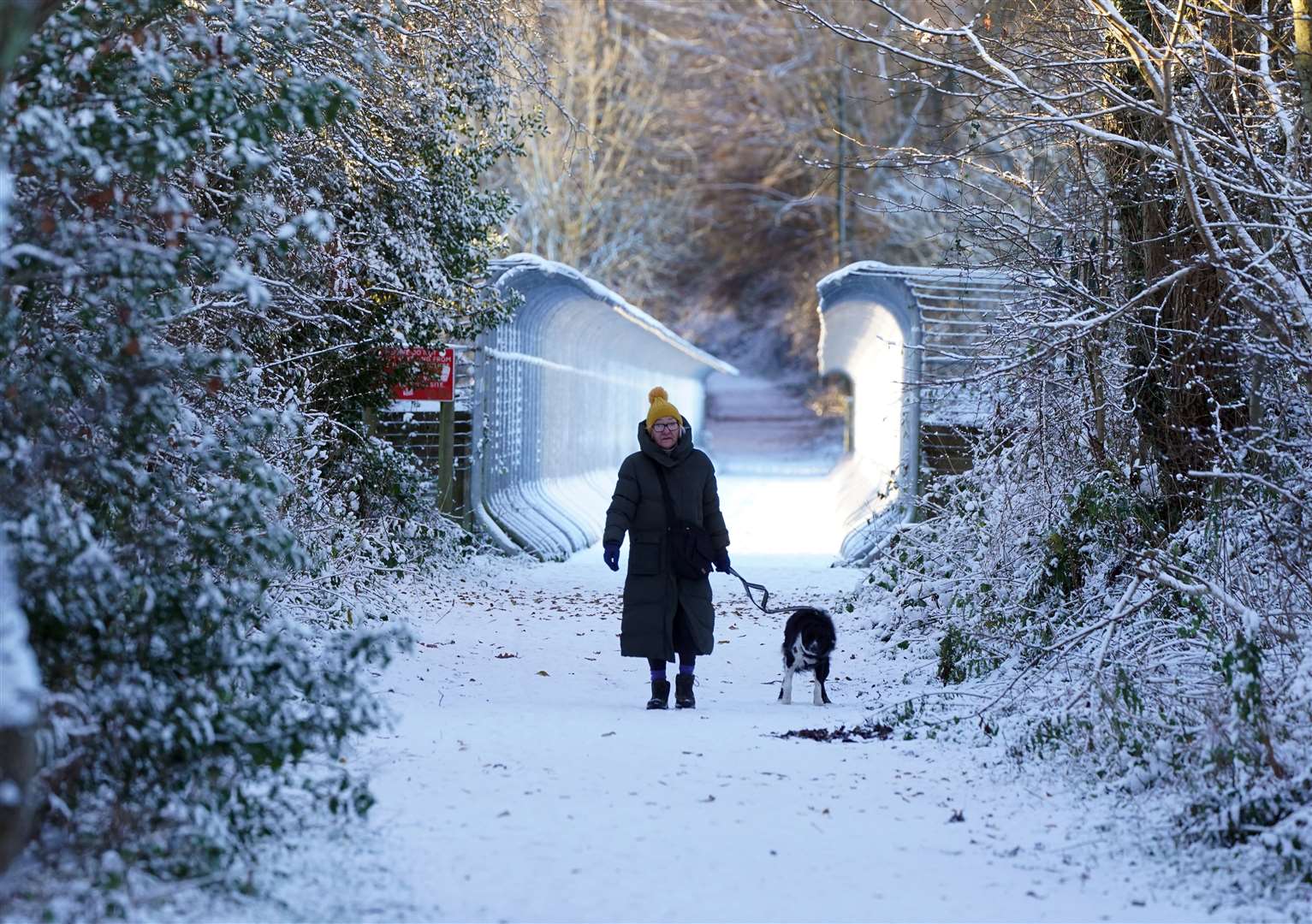 A woman walks her dog through snow over Castleside Viaduct in Durham (Owen Humphreys/PA)