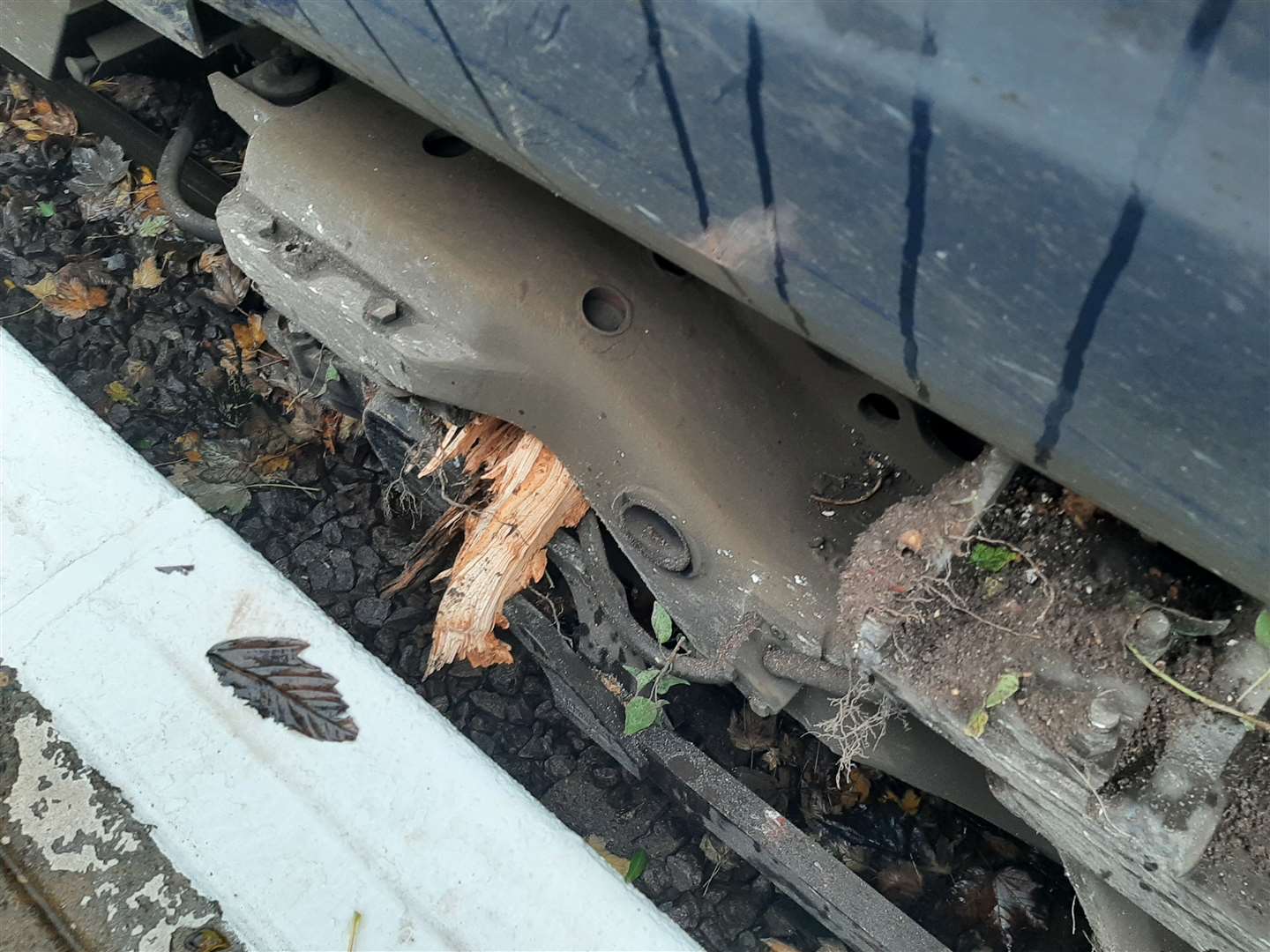 Shards of wood were left embedded in the front of the carriage. Photo: National Rail