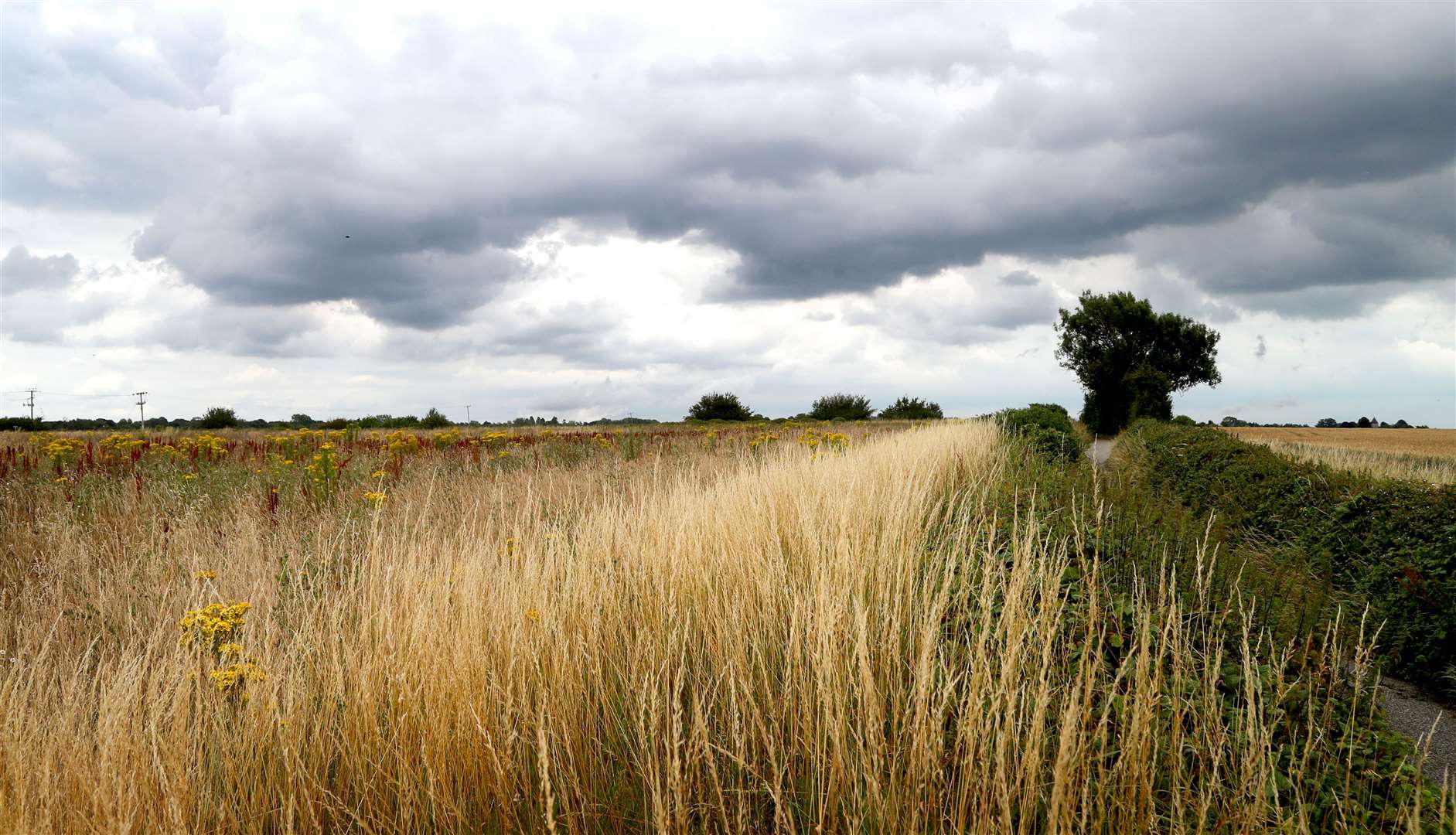 Land around Sevington in Ashford, Kent (Gareth Fuller/PA)