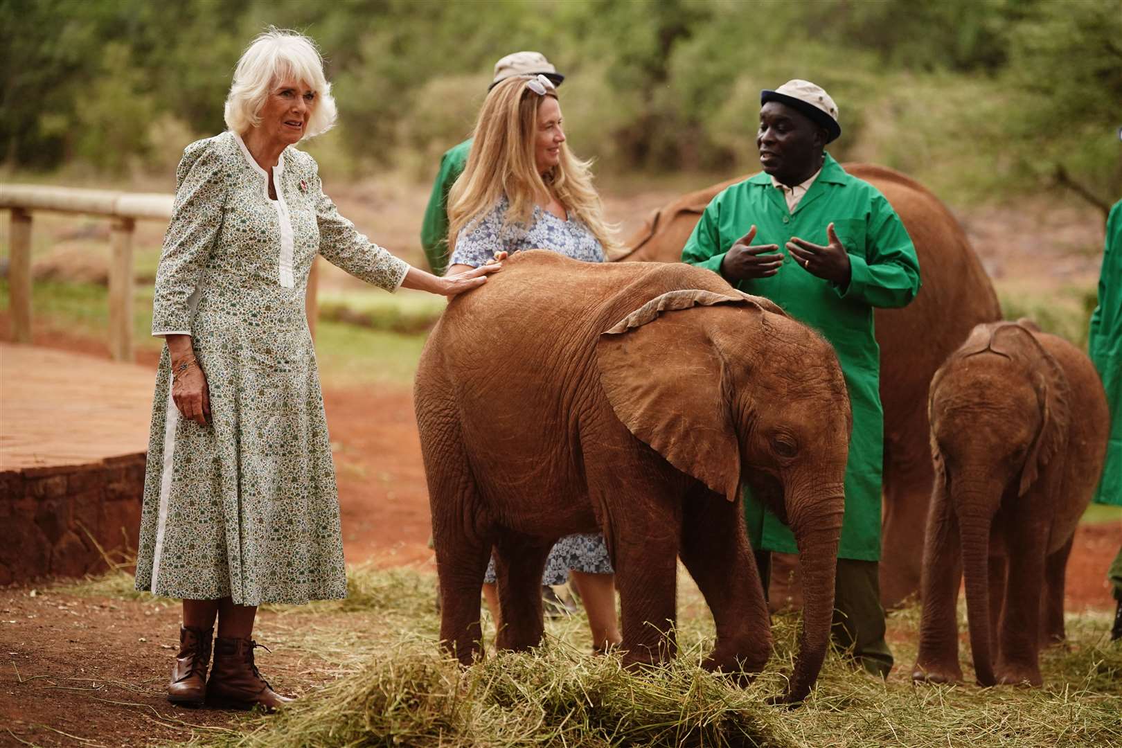 The elephants were among 27 orphans being cared for at the sanctuary (Victoria Jones/PA)