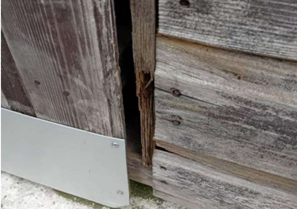 Folkestone and Hythe District Council found bosses at the Woolpack Inn in Brookland, Romney Marsh, had not properly mitigated against potential pest problems