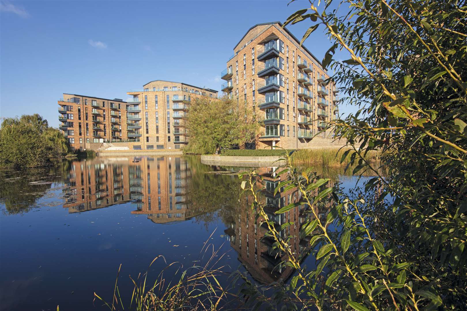 The housing development won the Best High Volume New Housing Development award. Picture: Grant Frazer