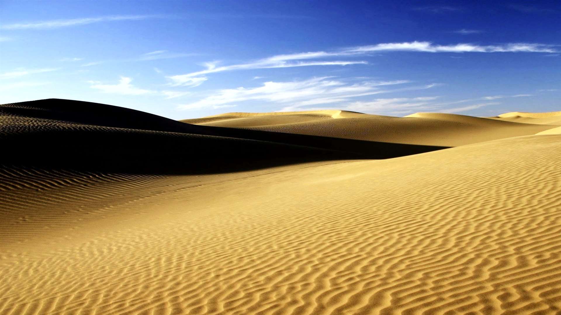 The Sahara Desert