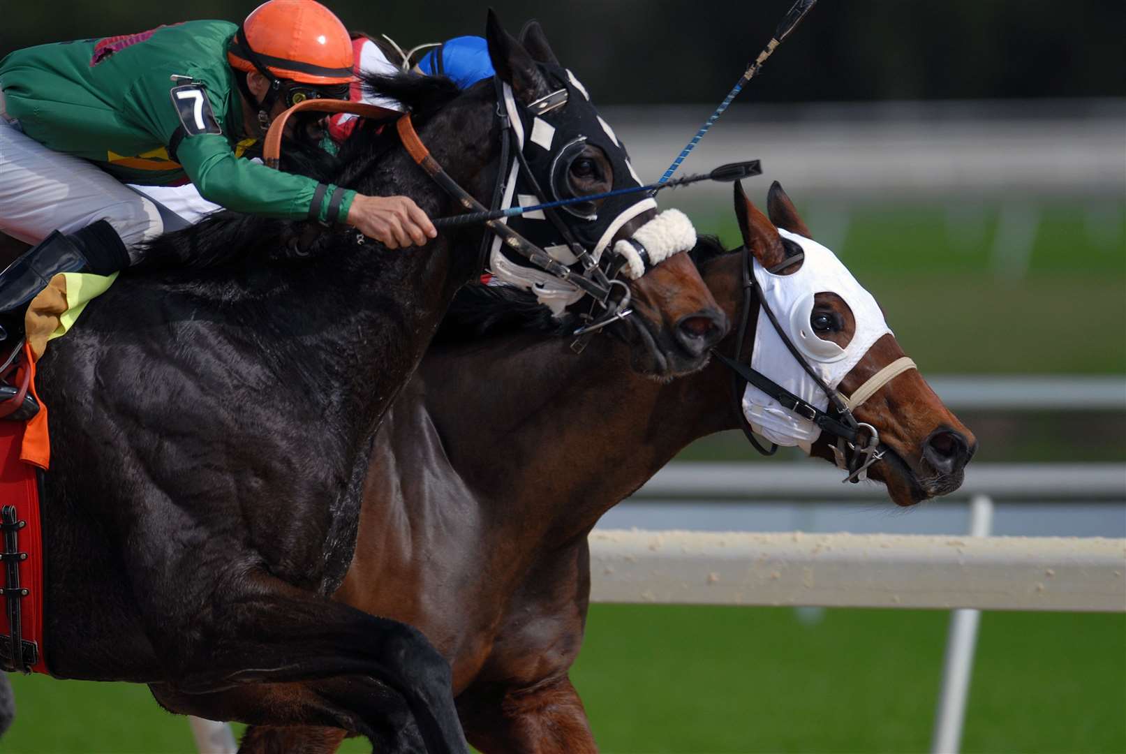 The British Horseracing Authority have banned Mike Stanley's 23 horses from racing. Picture: Jeff Griffith on Unsplash