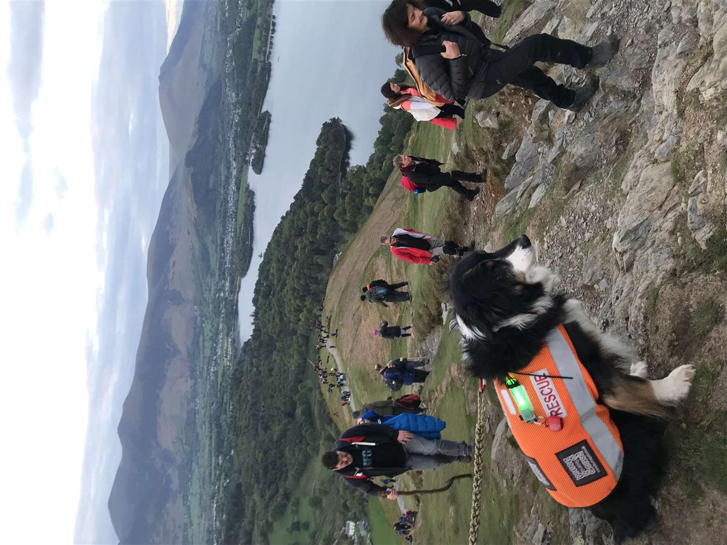 Mountain Rescue dog Skye at a fundraising event in 2019 (PDSA/PA)